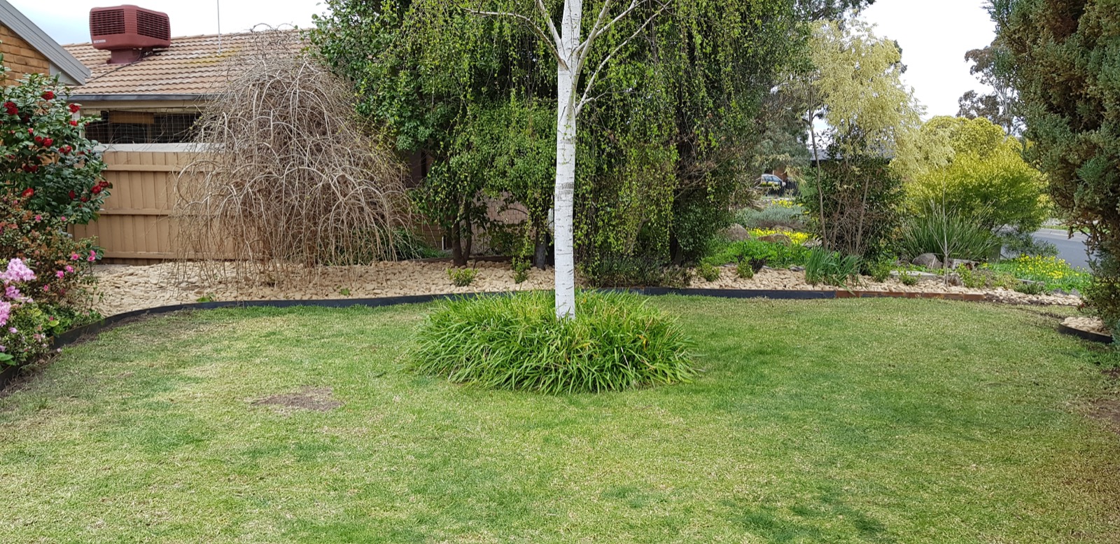 After lawn condition from a completed Crestline project